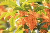 2010年10月 信濃教育会館前