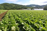 2015年6月 菅平高原