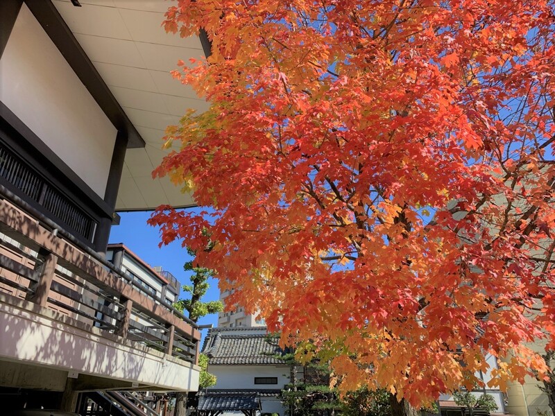 2019年10月本願寺長野別院
