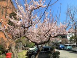 信濃教育会館まえ