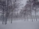 2007年12月 菅平