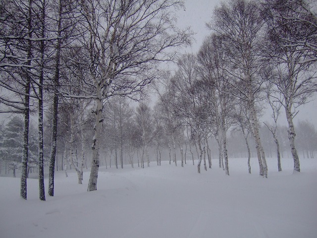 2007年12月 菅平