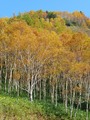 2008年10月 山田牧場
