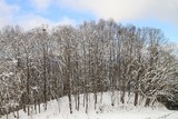 2010年1月 小川村